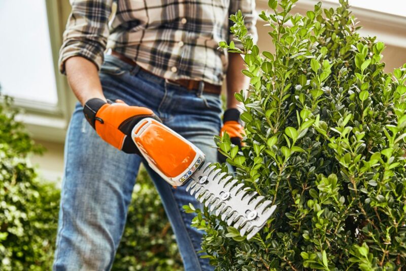 STIHL Akku-Heckenschere HSA 26 mit Akku und Ladegerät