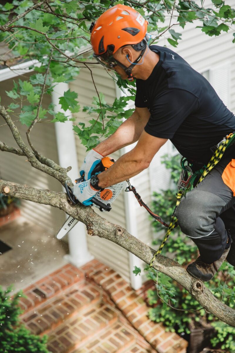 STIHL BENZIN KETTENSÄGE MS 151 TC-E 25cm