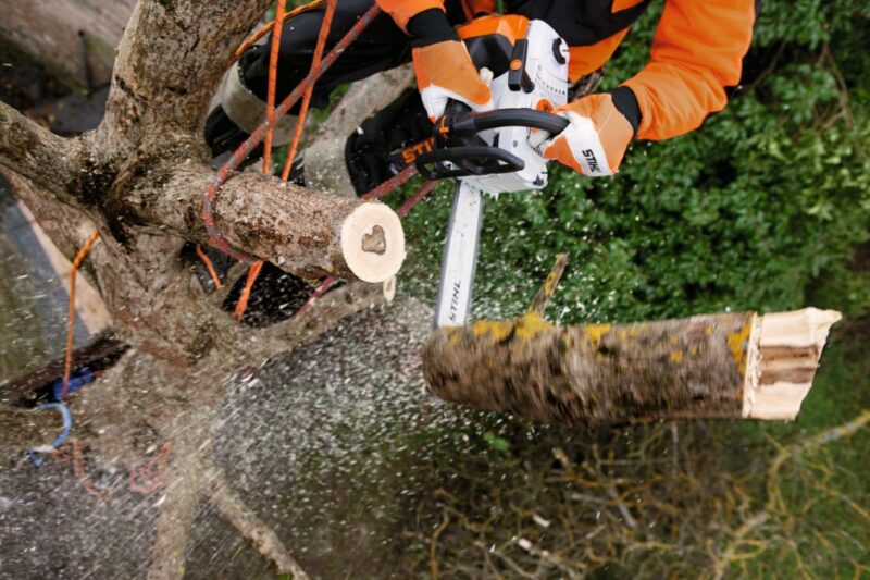 STIHL BENZIN KETTENSÄGE MS 201 TC-M 30cm