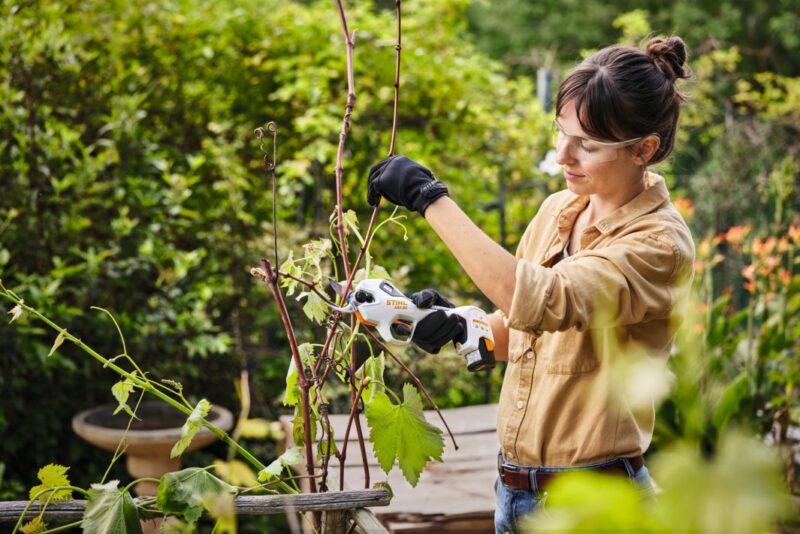 STIHL Astschere ASA 20 ohne Akku + Ladegerät